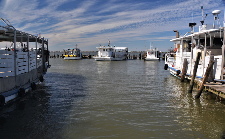fishing boats at dock